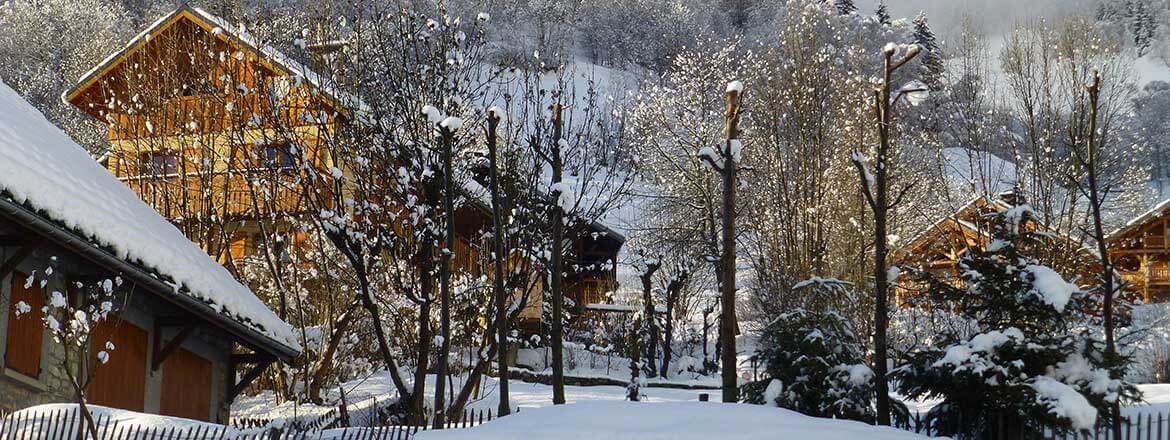 The Ski Vaujany Apartment